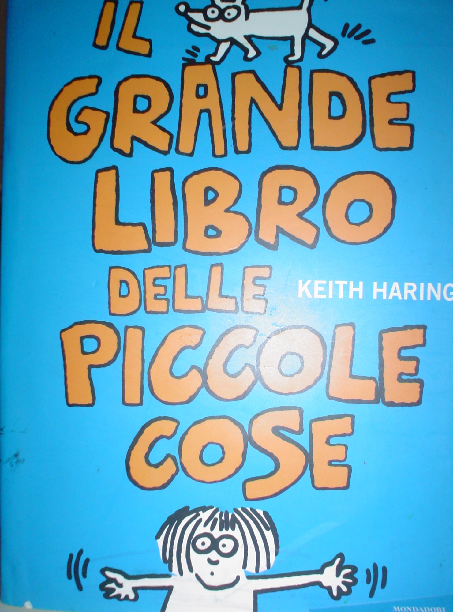 Il grande libro delle piccole cose